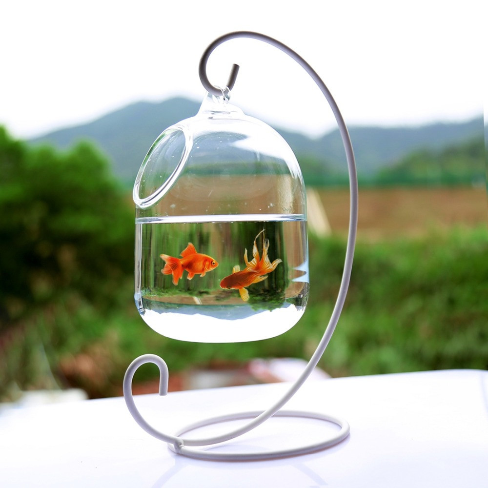 26 Wonderful 10 Fish Bowl Vase 2024 free download 10 fish bowl vase of clear petforu 15cm height hanging glass aquarium fish bowl fish tank in e7284a1f 8c8c 4fdf 97fb 7fbcc33dee47