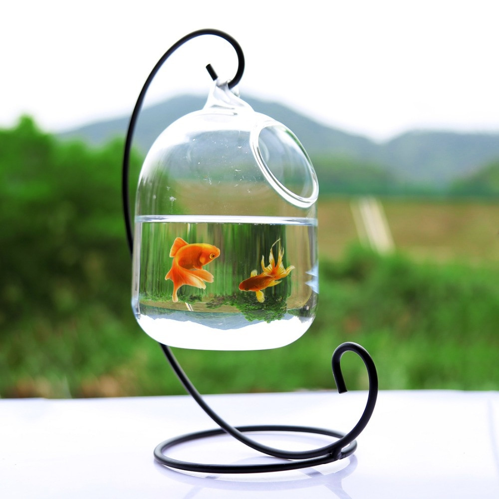 26 Wonderful 10 Fish Bowl Vase 2024 free download 10 fish bowl vase of clear petforu 15cm height hanging glass aquarium fish bowl fish tank regarding 01 3745873413 852364780 3745870575 852364780 3745505292 852364780 3748137233 852364780 8ec