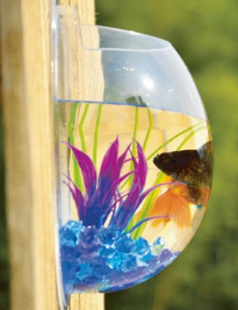 26 Wonderful 10 Fish Bowl Vase 2024 free download 10 fish bowl vase of creative acrylic hanging wall mount fish tank bowl vase aquarium inside getsubject aeproduct