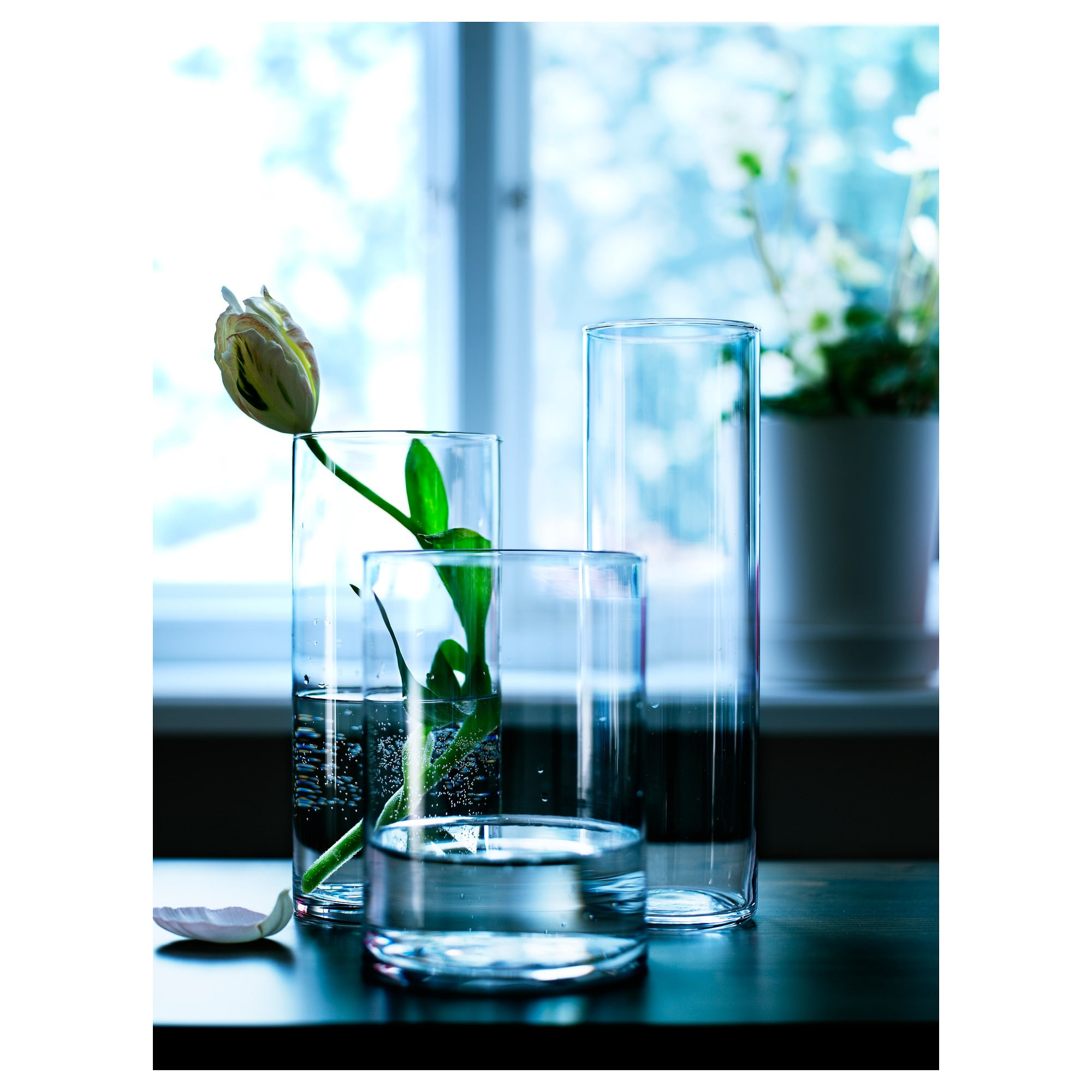 23 attractive 12 Inch Tall Glass Vases 2024 free download 12 inch tall glass vases of cylinder vase set of 3 ikea with regard to 0121789 pe264937 s5 jpg