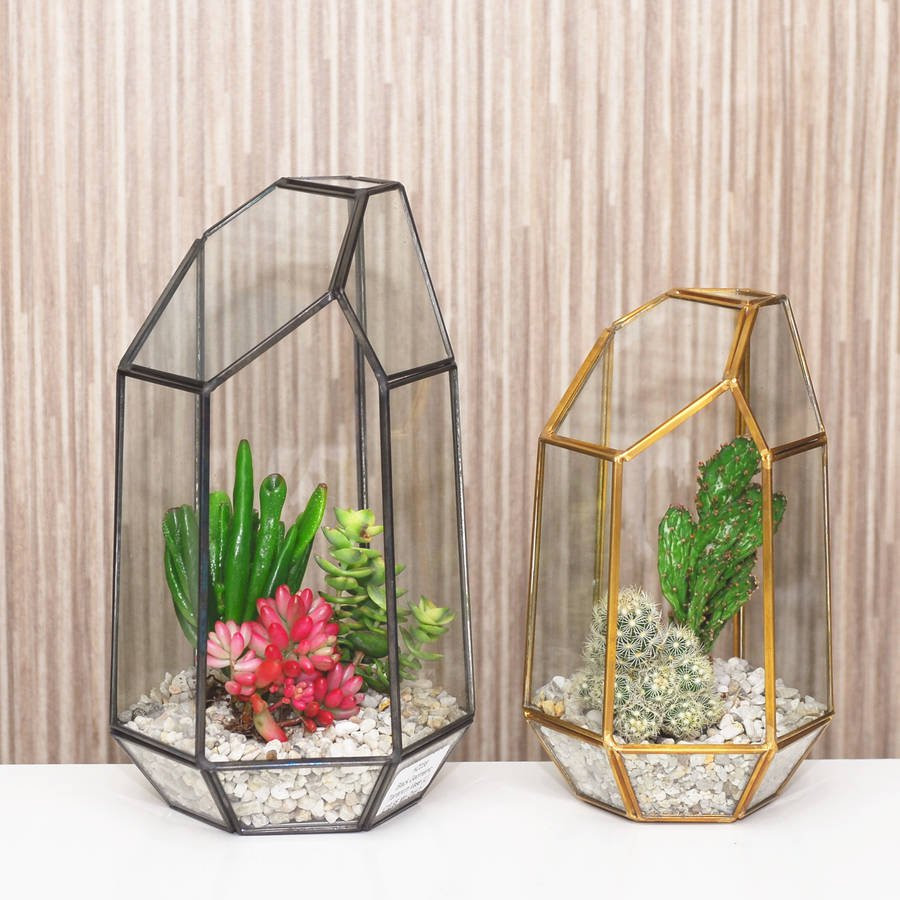 11 Fashionable 16 Glass Vase 2024 free download 16 glass vase of geometric glass vase terrarium by dingading terrariums inside geometric glass vase terrarium