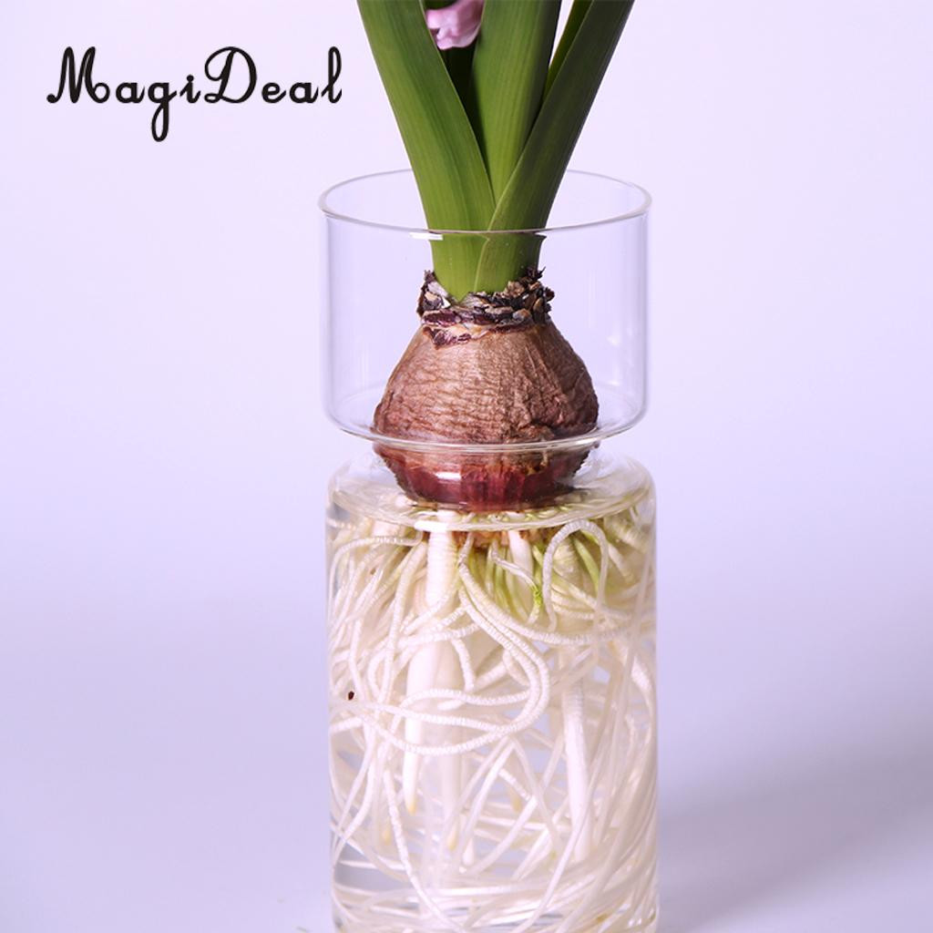 17 Stylish 20 Inch Tall Glass Vases 2024 free download 20 inch tall glass vases of magideal clear hyacinth glass vase flower planter pot diy terrarium with regard to magideal clear hyacinth glass vase flower planter pot diy terrarium container d