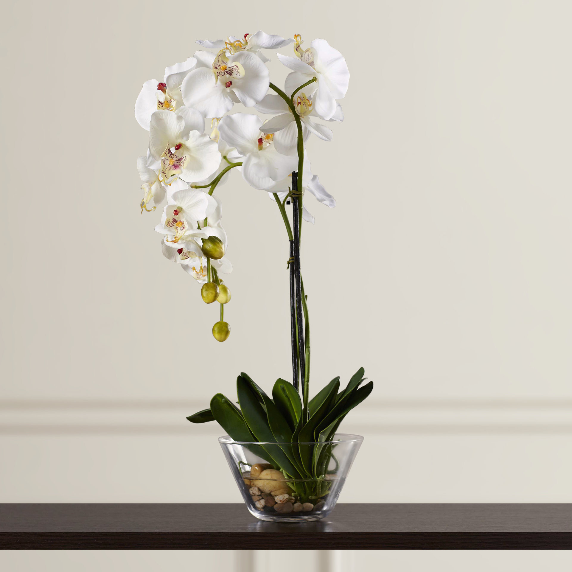 25 Best 20 Inch Vases Cheap 2024 free download 20 inch vases cheap of three posts phalaenopsis silk white orchid in glass vase reviews for three posts phalaenopsis silk white orchid in glass vase reviews wayfair