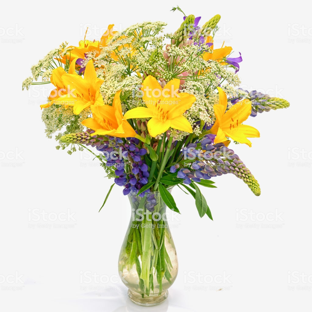 13 Trendy 4ft Vase 2024 free download 4ft vase of bouquet od wild flowers achillea millefolium day lily and lupine in in bouquet od wild flowers achillea millefolium day lily and lupine in a transparent glass