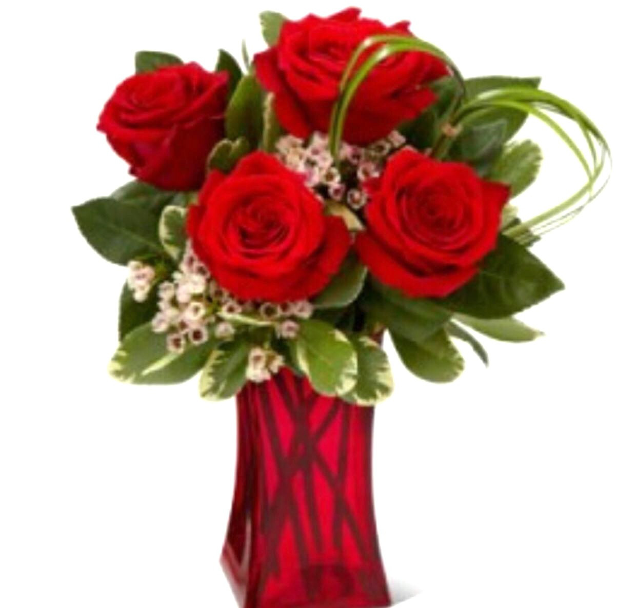 21 Fabulous 6 Bud Vase 2024 free download 6 bud vase of elegant roses in a vase pictures beginneryogaclassesnear me regarding flower red modern 6 roses in a vaseh vases s vase vasei 0d