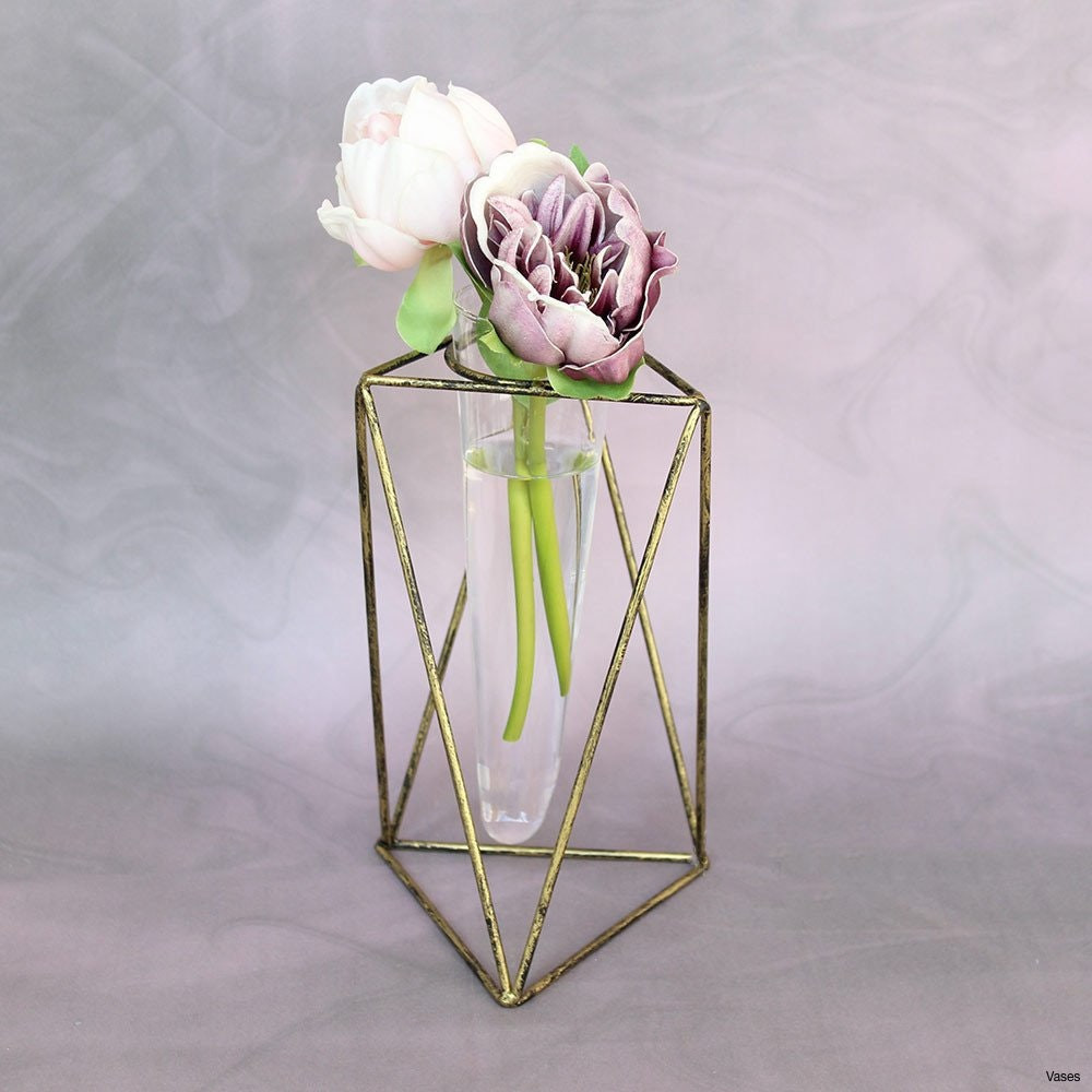 24 Lovely 6 Inch Glass Cube Vase 2024 free download 6 inch glass cube vase of photograph of tall mercury glass vase vases artificial plants pertaining to tall mercury glass vase photograph vases metal for centerpieces elegant vase wedding tal