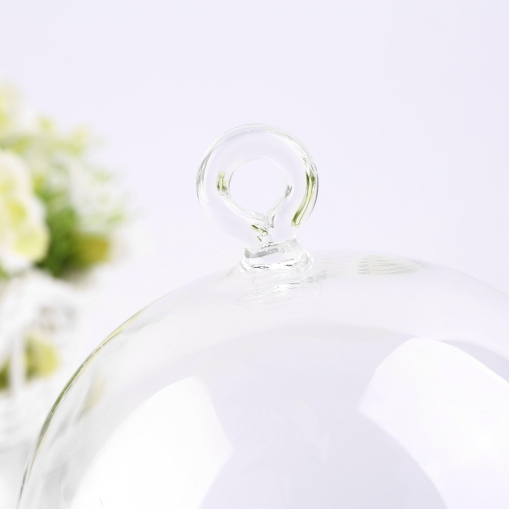 21 Lovely 6 Inch Round Glass Vase 2024 free download 6 inch round glass vase of 2017 clear glass vase hanging terrarium succulents plant landscape regarding 2017 clear glass vase hanging terrarium succulents plant landscape home decor gift bea