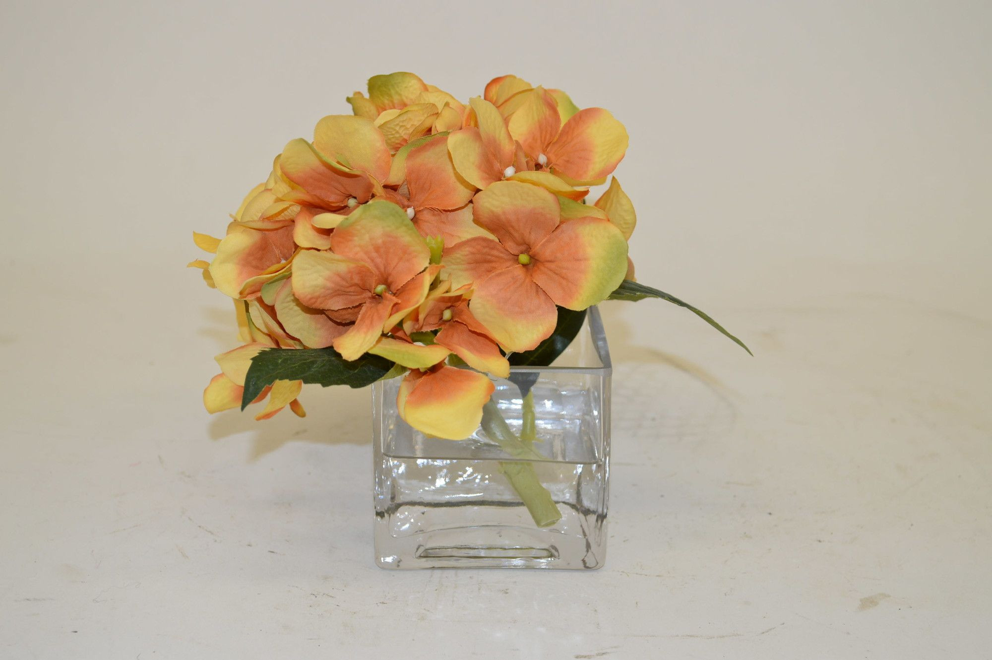 30 Fashionable Acrylic Cube Vase 2024 free download acrylic cube vase of hydrangea in cube vase hydrangea cube and products throughout hydrangea in cube vase