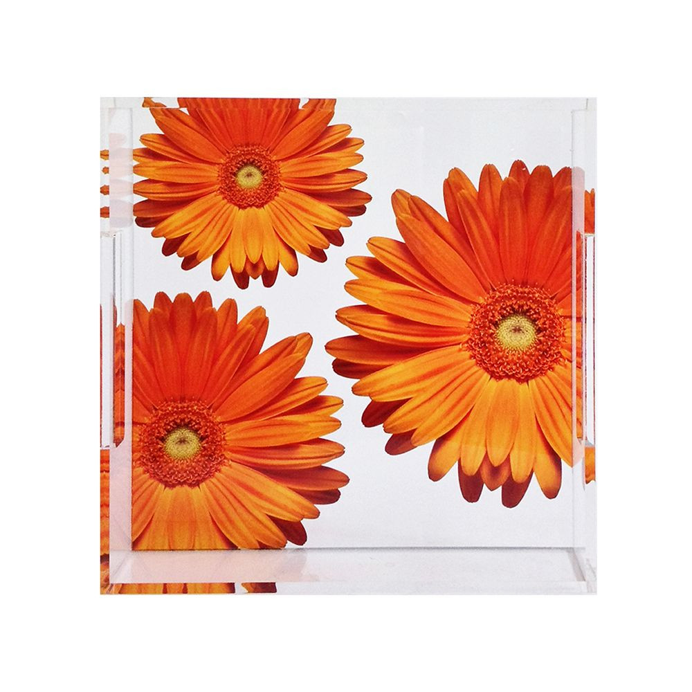 30 Fashionable Acrylic Cube Vase 2024 free download acrylic cube vase of orange gerber acrylic tray floral art home pinterest trays throughout orange gerber acrylic tray