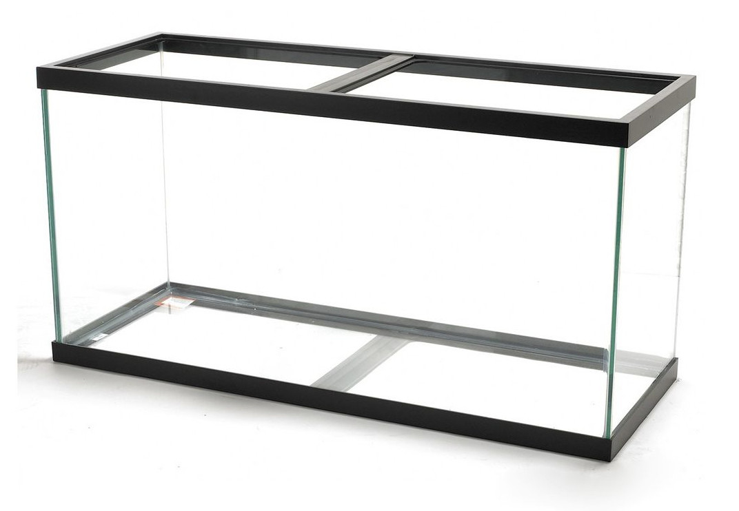 22 Awesome Acrylic Rectangle Vase 2024 free download acrylic rectangle vase of glass fish tanks compared to acrylic fish tanks pros and cons of pertaining to glass fish tanks compared to acrylic fish tanks pros and cons of glass fish tanks