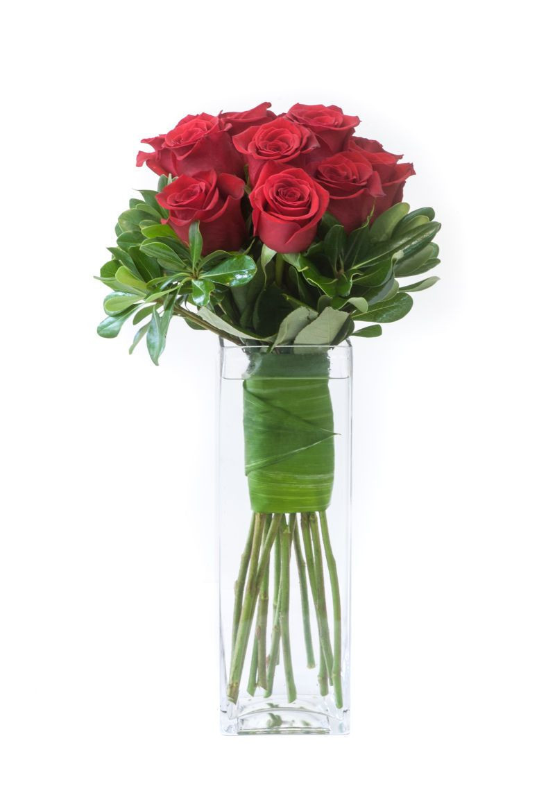 22 Awesome Acrylic Rectangle Vase 2024 free download acrylic rectangle vase of tall rectangular vase pictures classic red roses a modern update in tall rectangular vase pictures classic red roses a modern update with leaf wrapped stems in a