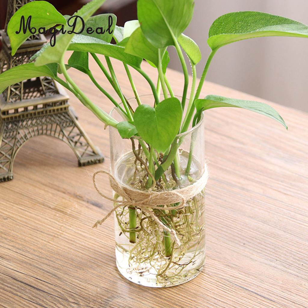 14 attractive Aluminum Flower Vase 2024 free download aluminum flower vase of magideal hydroponic plants glass flower vase decorative plant pot with magideal hydroponic plants glass vase flower vase decorative plant pot home decor great gift