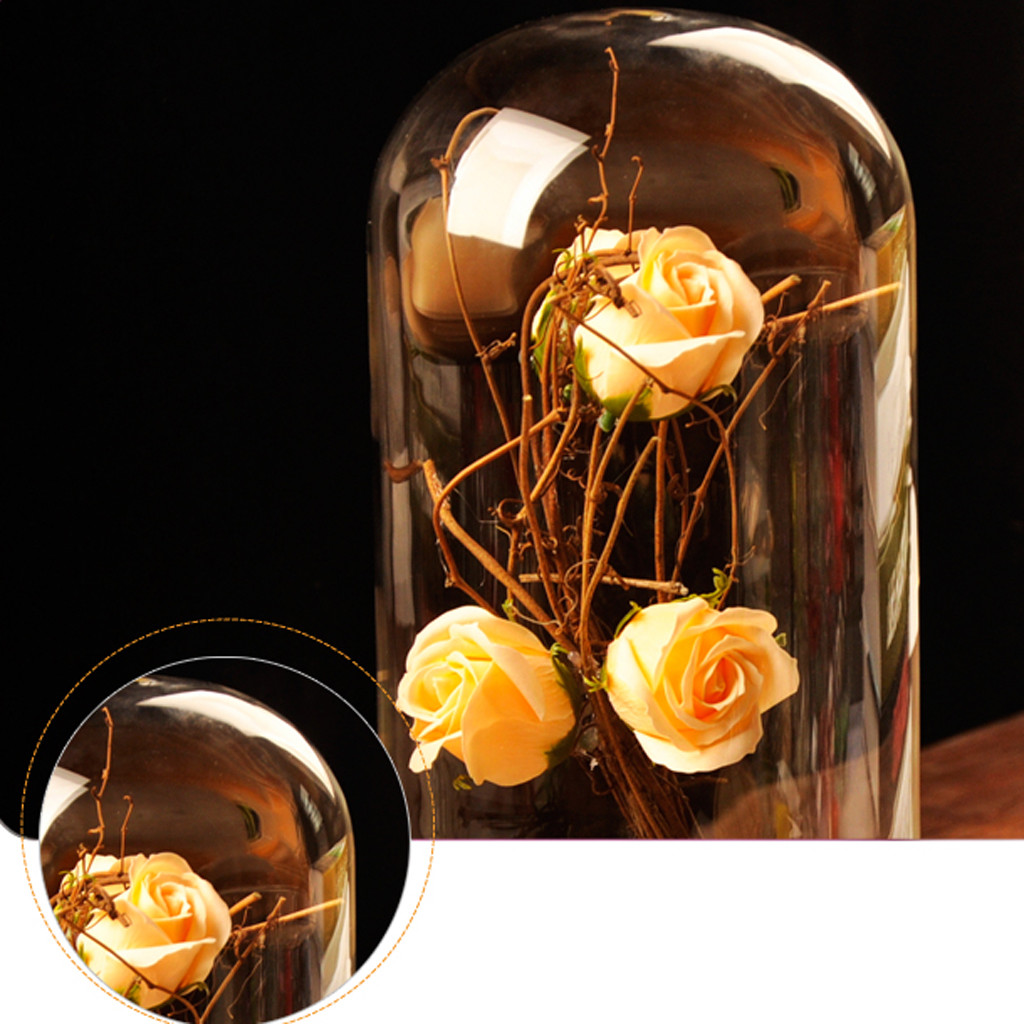 14 Unique Amber Glass Flower Vase 2024 free download amber glass flower vase of glass cover landscape vase dome with tray plant flower terrarium pertaining to glass cover landscape vase dome with tray plant flower terrarium container birthday 