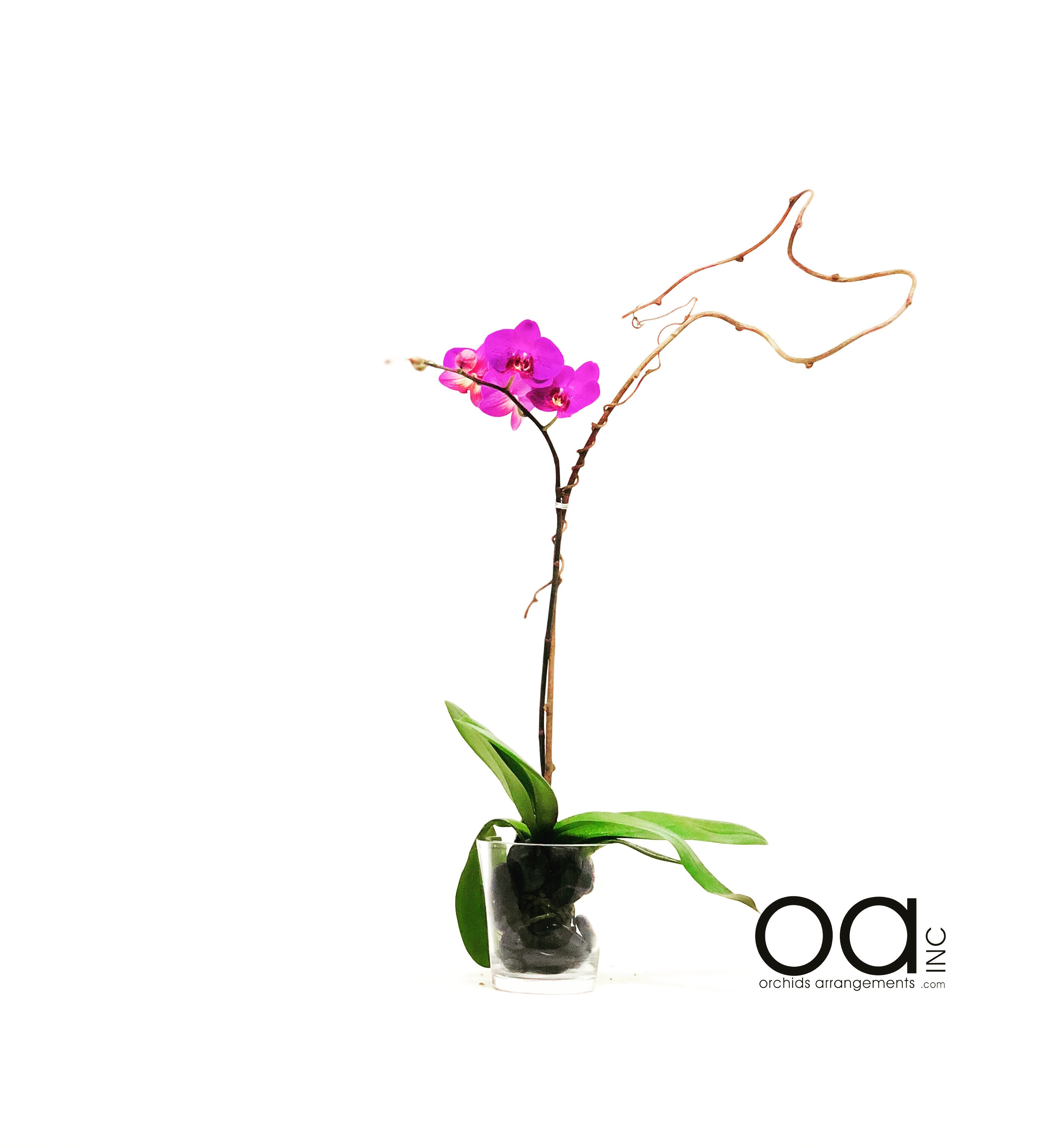 12 Ideal Artificial Flowers In Vases wholesale 2024 free download artificial flowers in vases wholesale of send 1 orchids arrangements fat conical vase in miami fl orchids with regard to send 1 orchids arrangements fat conical vase