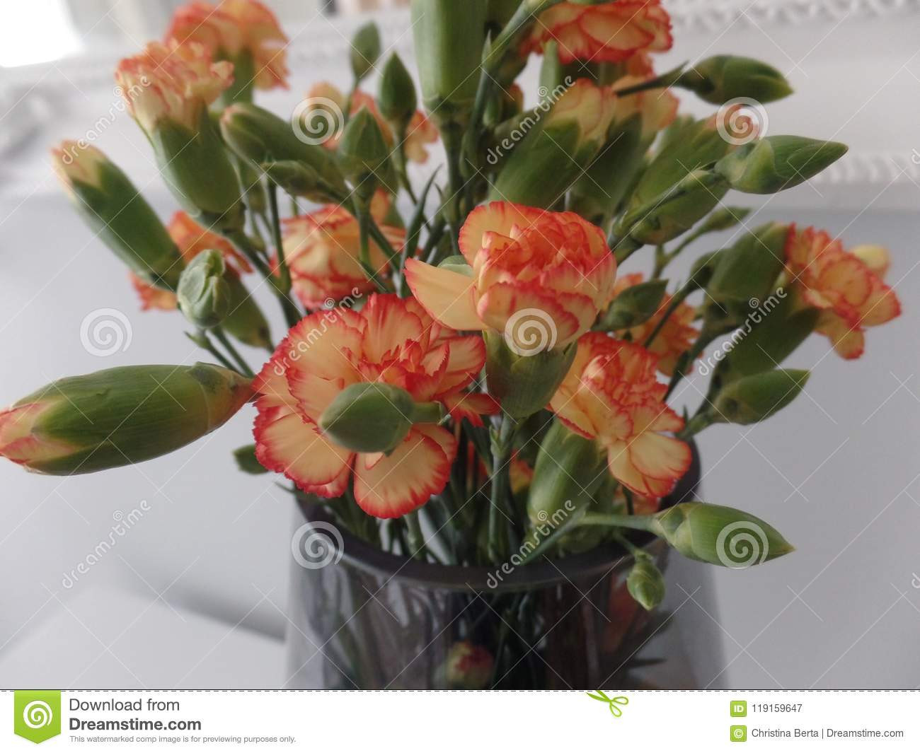 22 Elegant Artificial Roses In Glass Vase 2024 free download artificial roses in glass vase of bouquet of orange spray carnations stock image image of green with regard to bouquet of orange spray carnations