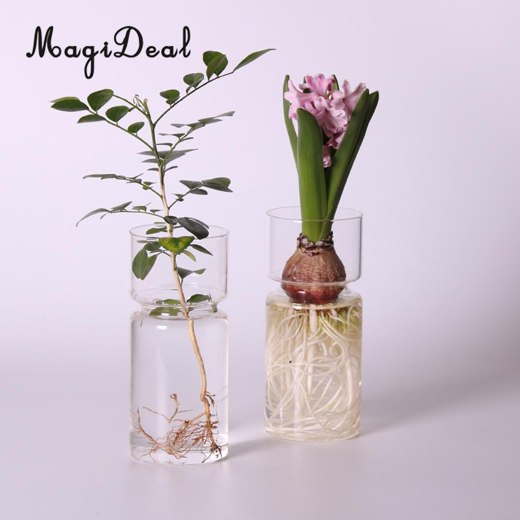 30 Amazing Artistic Nice Hanging Glass Vase 2024 free download artistic nice hanging glass vase of magideal clear hyacinth glass vase flower planter pot diy terrarium in 1 x glass vase aeproduct getsubject