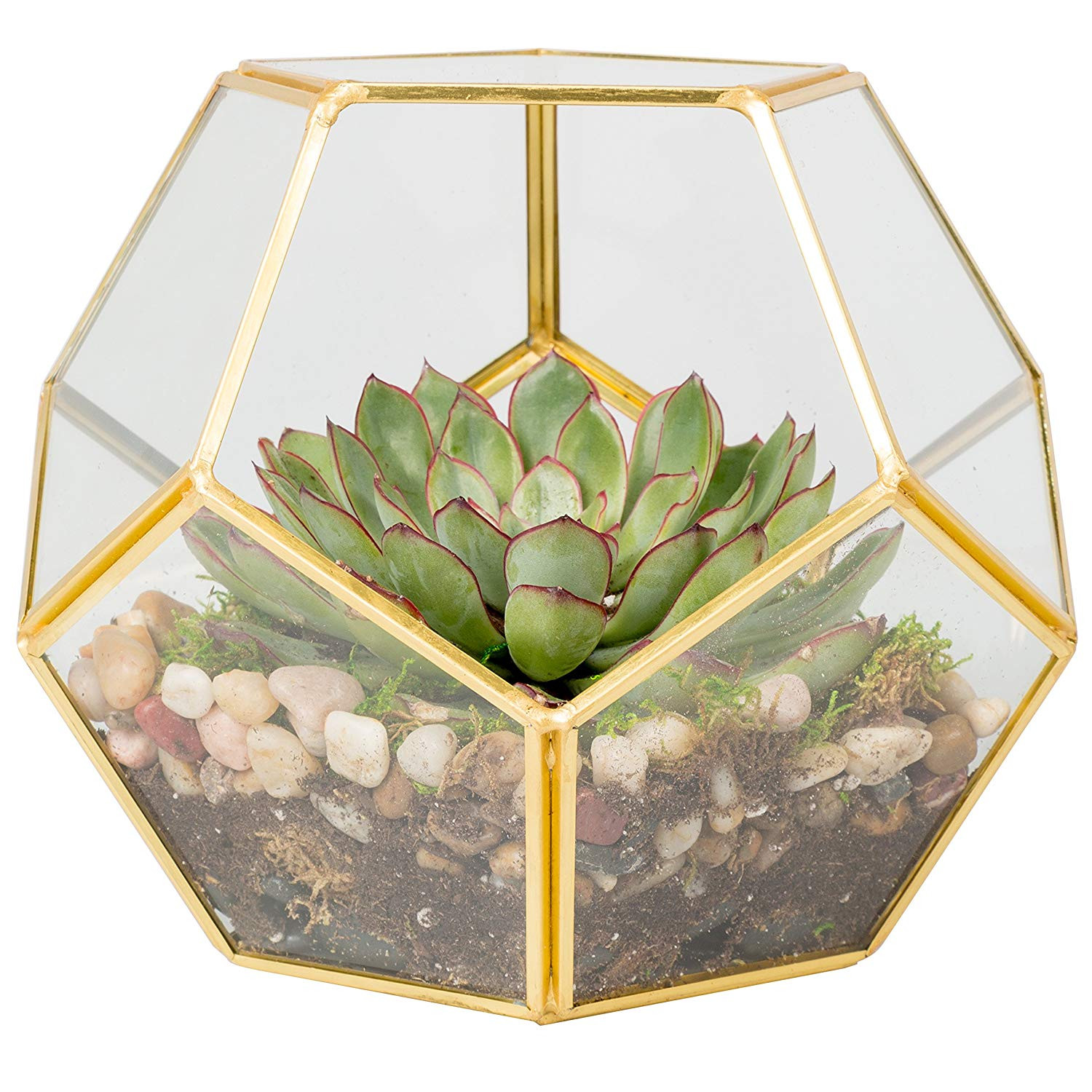 30 Trendy ashland Cube Glass Vase 2024 free download ashland cube glass vase of amazon com glass terrarium succulent air plant tear drop with amazon com glass terrarium succulent air plant tear drop garden outdoor