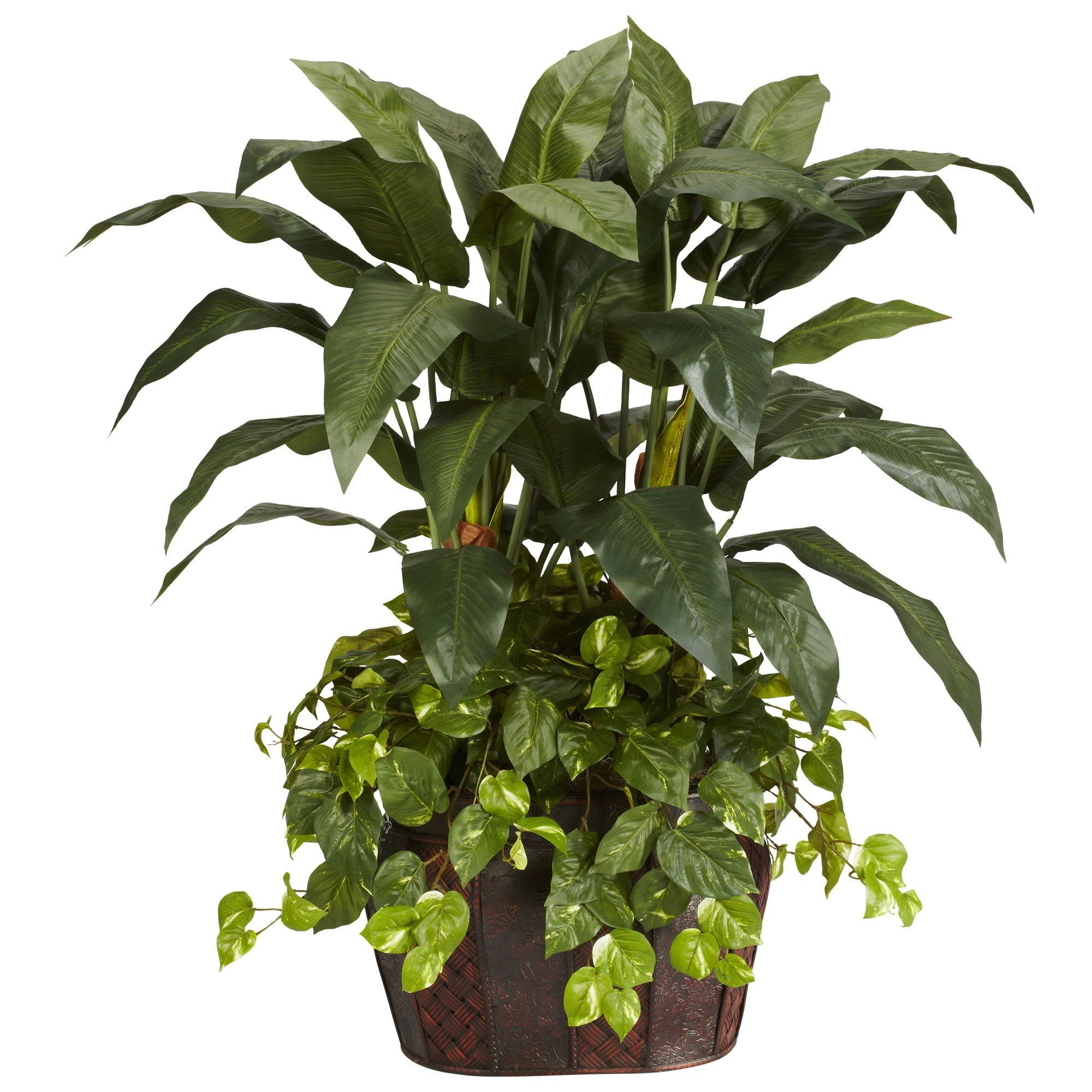 10 Trendy Bamboo Plant with Vase 2024 free download bamboo plant with vase of 48 h double bird of paradise with vase pothos silk plant silk for 4 double bird of paradise w vase pothos silk plant