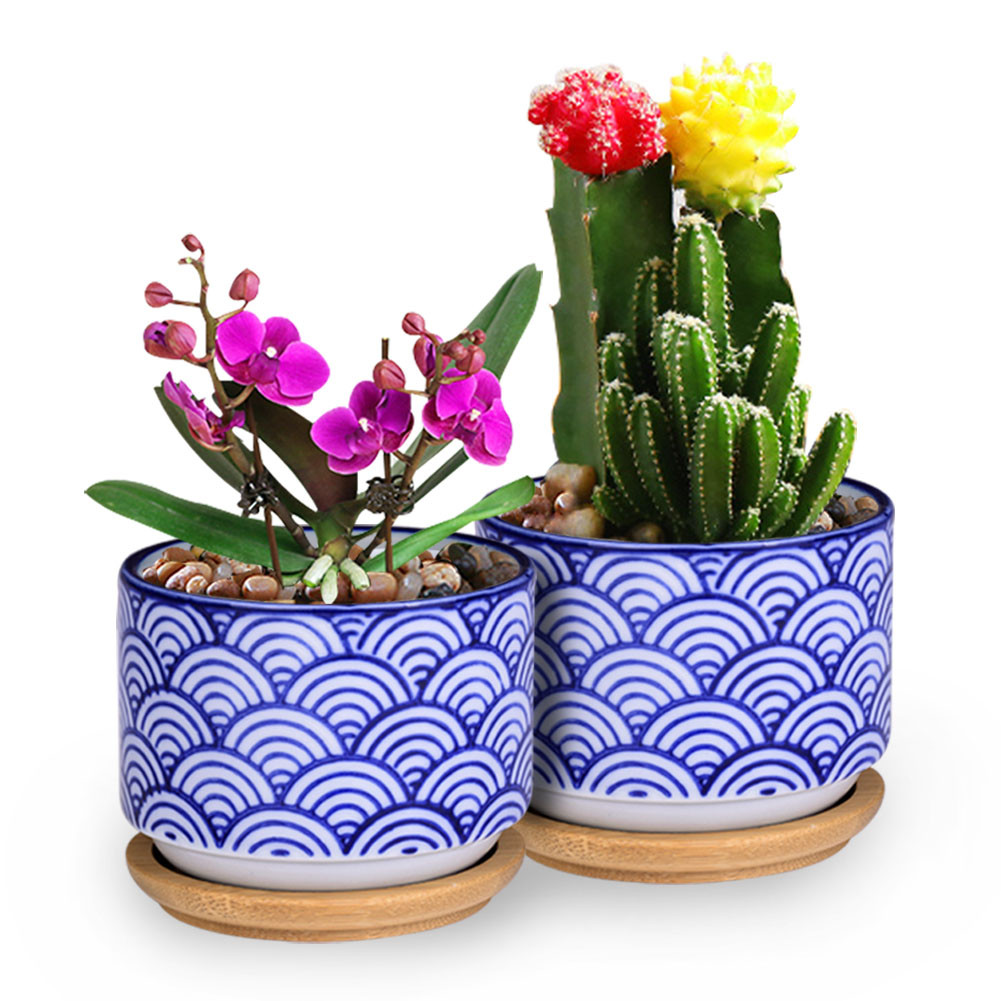 10 Trendy Bamboo Plant with Vase 2024 free download bamboo plant with vase of wituse 2pcs ceramic flowerpot porcelain succulent plants flower pot inside 2 x plant potswith bamboo tray