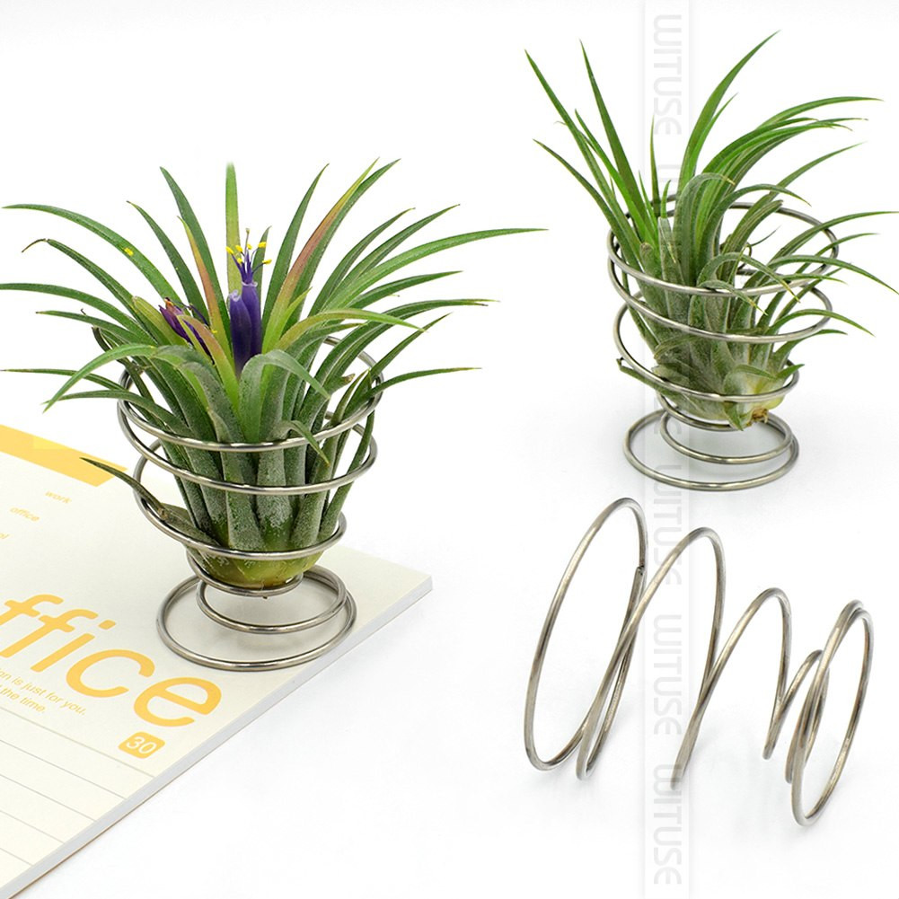 10 Trendy Bamboo Plant with Vase 2024 free download bamboo plant with vase of wituse wooden metal air plant holder air plants pot container vase inside 1 x air plant holders