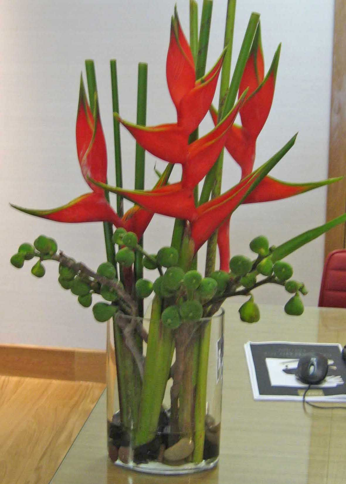 20 Famous Bamboo Vase Ideas 2024 free download bamboo vase ideas of 77vr red heleconia bamboo daco mariage pinterest flower inside 77vr red heleconia bamboo