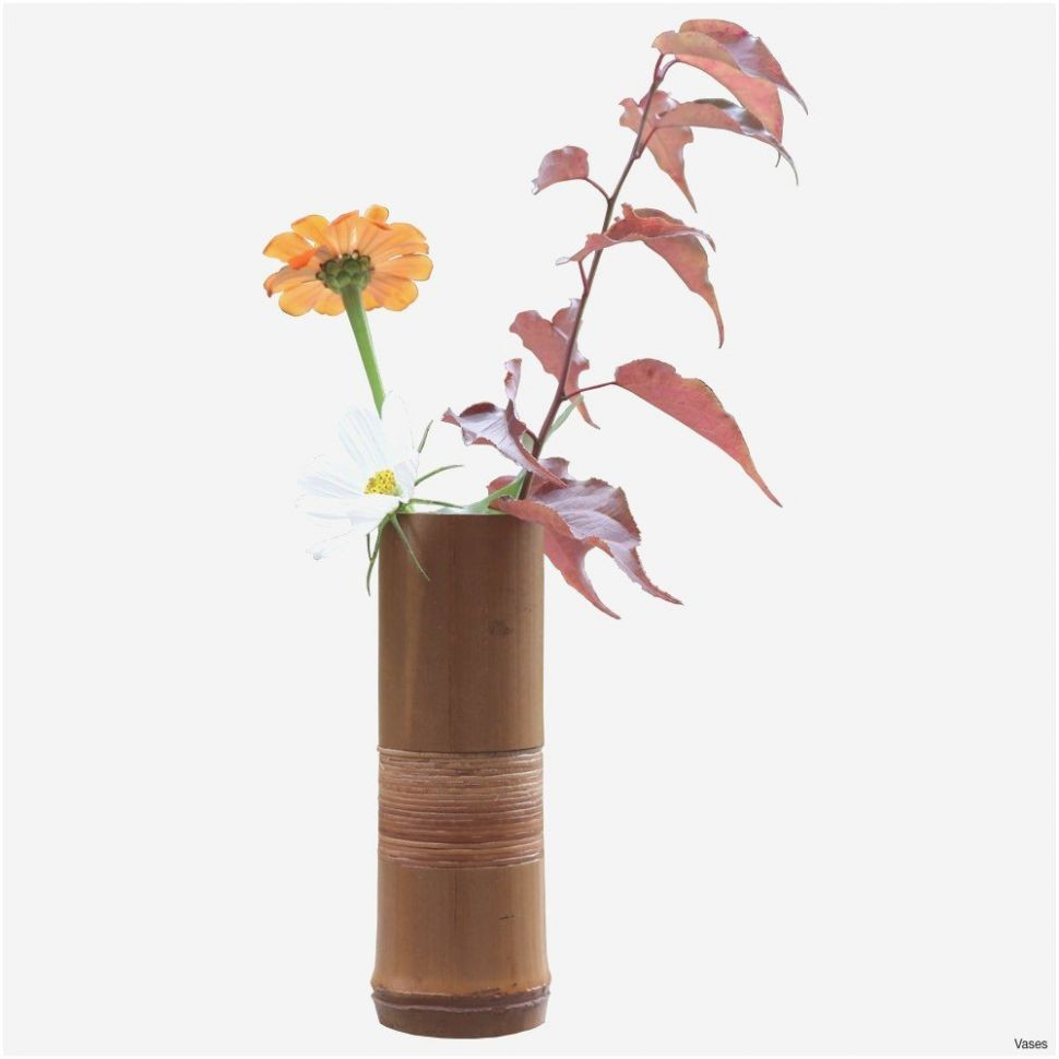 13 Elegant Bamboo Vase Tall 2024 free download bamboo vase tall of 10 best of bamboo vase bogekompresorturkiye com pertaining to cool gifts stunning handmade wedding gifts admirable h vases bamboo flower vase i 0d 1000