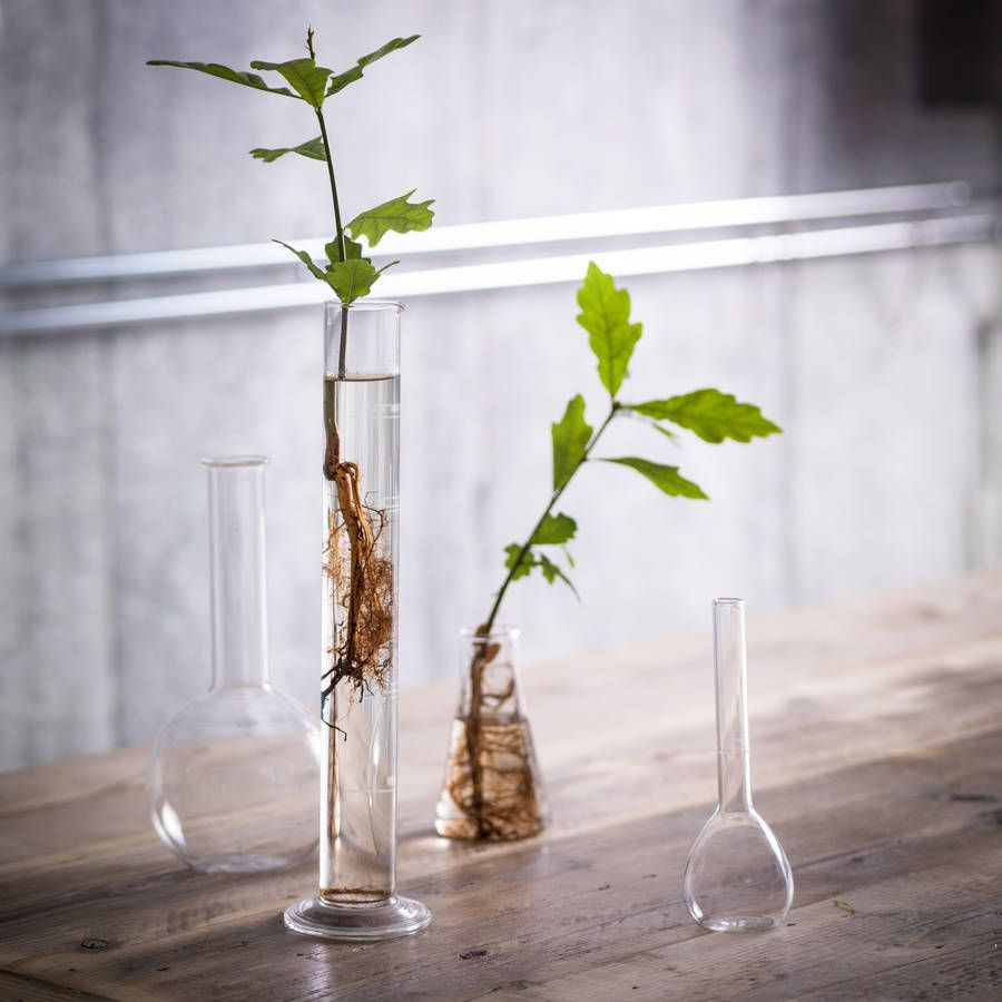 16 Great Beaker Glass Tube Vase 2024 free download beaker glass tube vase of 250ml chemistry glass test tube vase by mens society within 250ml chemistry glass test tube vase by mens society notonthehighstreet com