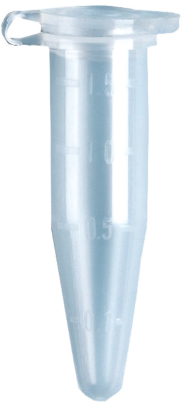 16 Great Beaker Glass Tube Vase 2024 free download beaker glass tube vase of fisherbrandac284c2a2 premium microcentrifuge tubes 1 5ml natural 1 5ml in fisherbrandac284c2a2 premium microcentrifuge tubes 1 5ml natural 1 5ml o d x l 10 8 x 40 6