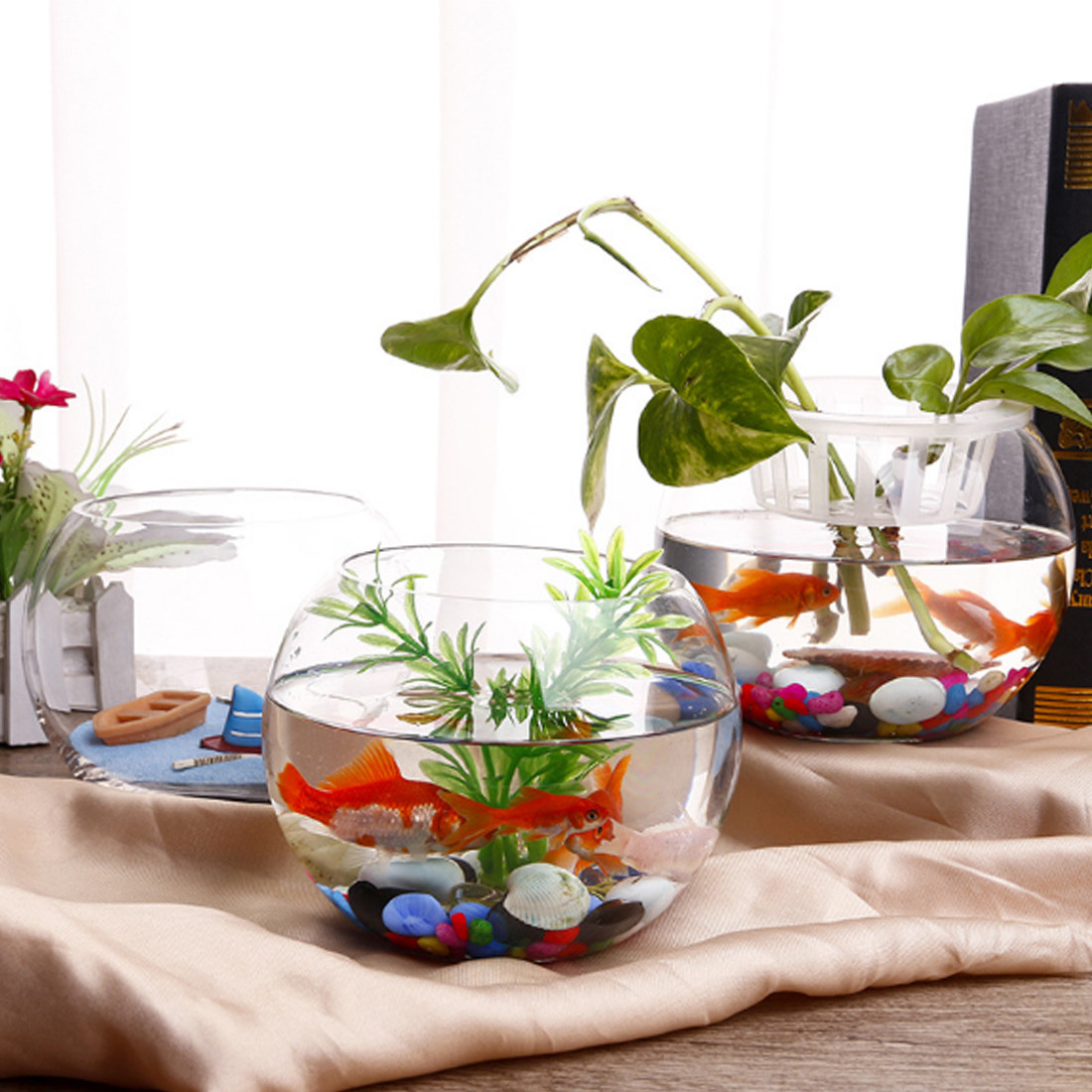 10 Spectacular Betta Fish Vase 2024 free download betta fish vase of 5pcs betta cup jellyfish cup betta fish tank mini small transparent in petforu spherical glass fish tank round aquarium fishbowl for betta fish home decoration pet supplie