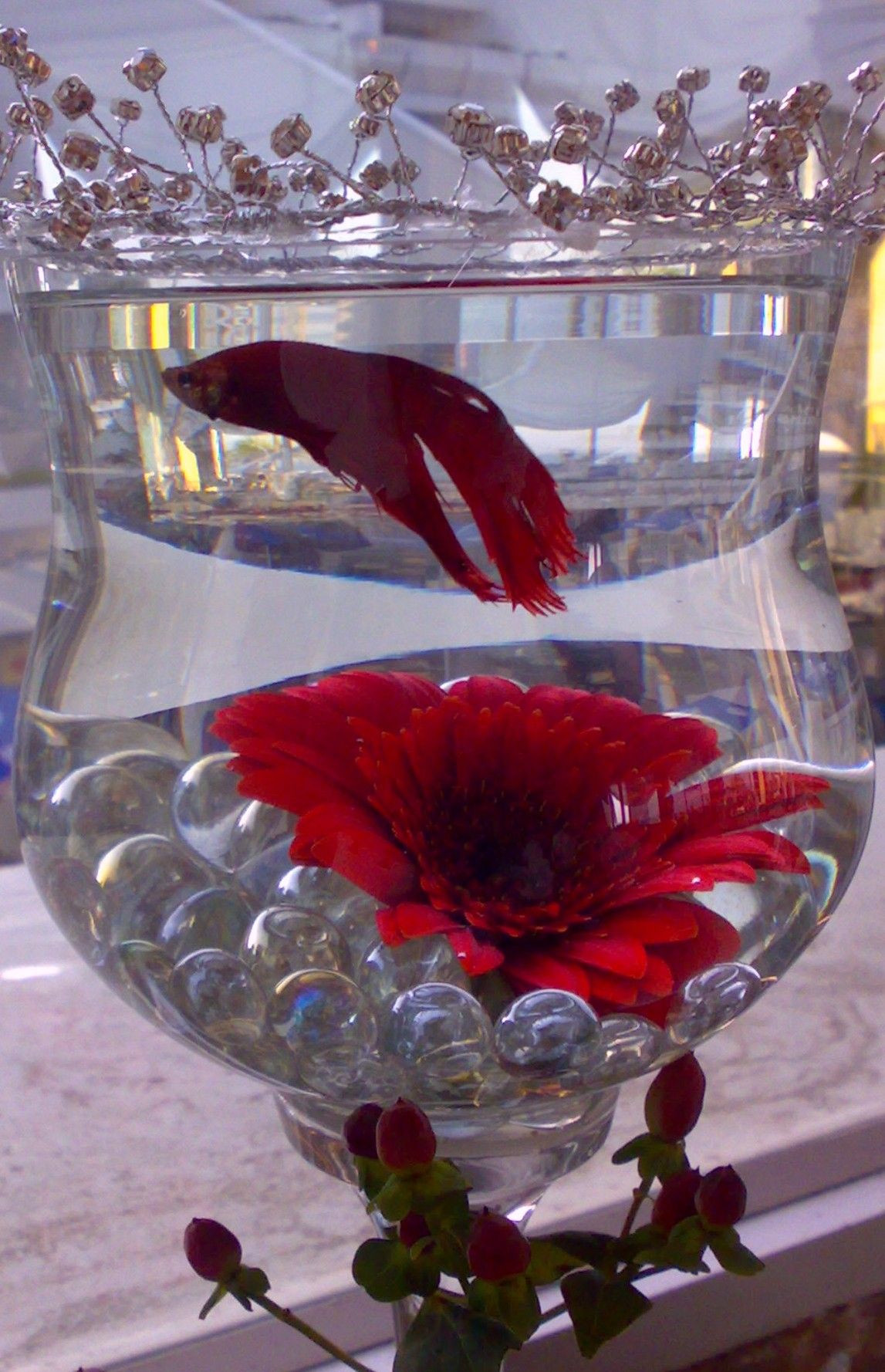 10 Spectacular Betta Fish Vase 2024 free download betta fish vase of betta fish centerpieces betta t fish centerpiece betta throughout for those brides who want a totally different touch siamese fighting fish in a large beta fish centerpiec