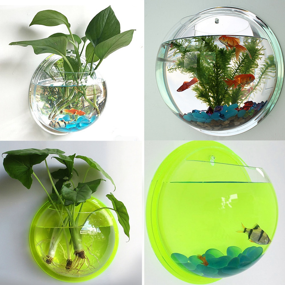 27 Stunning Betta Fish Vase with Bamboo 2024 free download betta fish vase with bamboo of hot sale semicircular wall hanging glass plant flower vase inside clear potted plant wall hanging bubble fish bowl tank aquarium decoration diy set home access