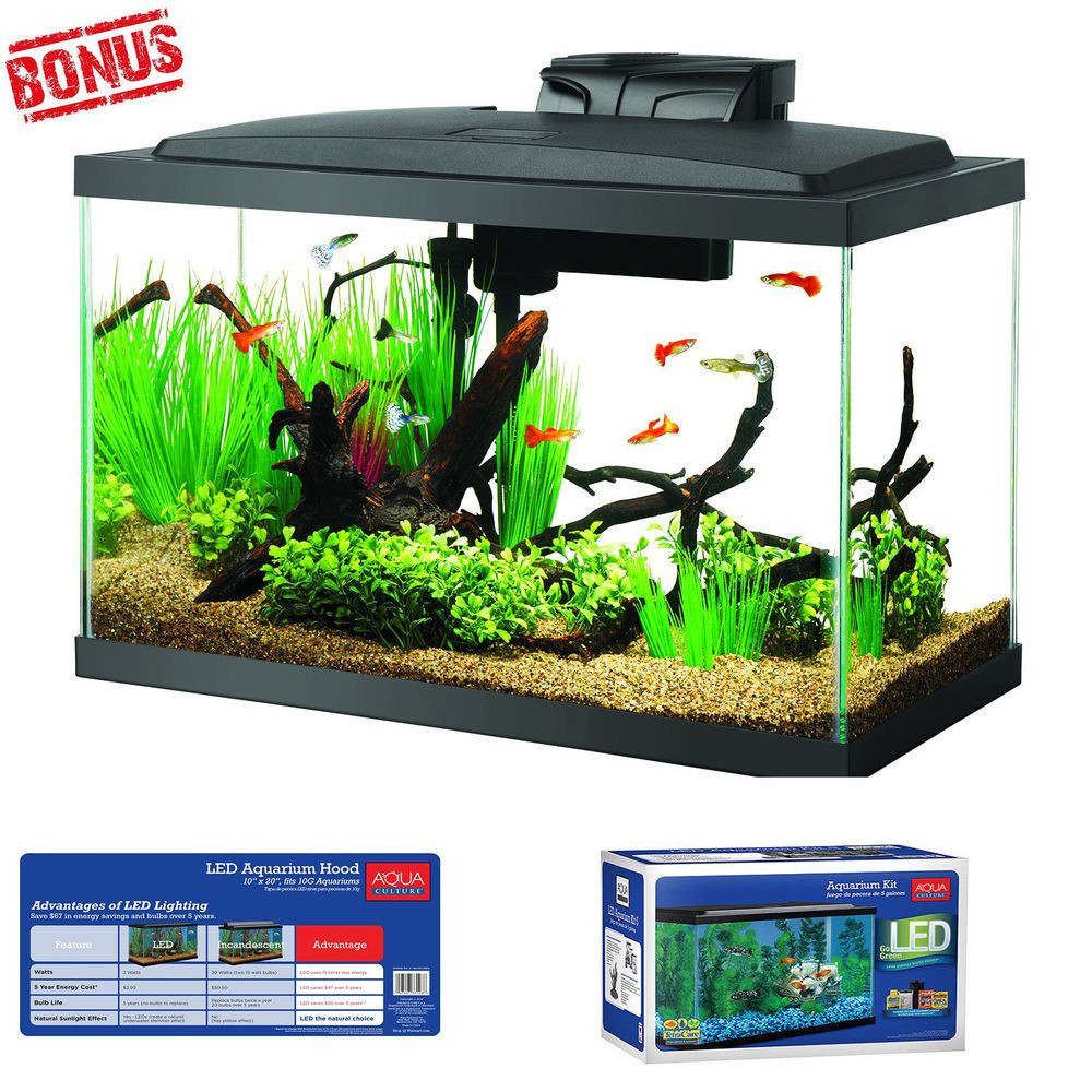 14 Fashionable Betta Vase Kit 2024 free download betta vase kit of 2 gal starter aquarium kit led light fish tank bowl filter with regard to aquarium starter 10 gallon fish tank led light hood water filter terrarium kit