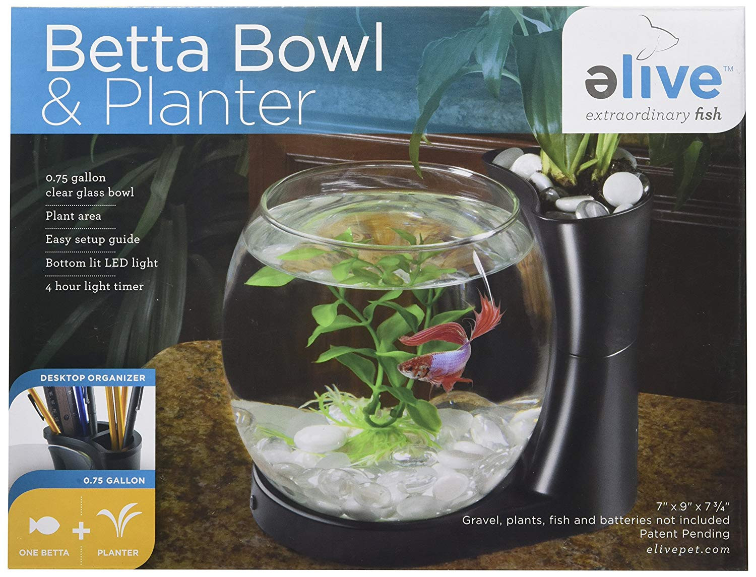 14 Fashionable Betta Vase Kit 2024 free download betta vase kit of amazon com elive betta fish bowl betta fish tank with planter with regard to amazon com elive betta fish bowl betta fish tank with planter small 0 75 gallon aquarium led li