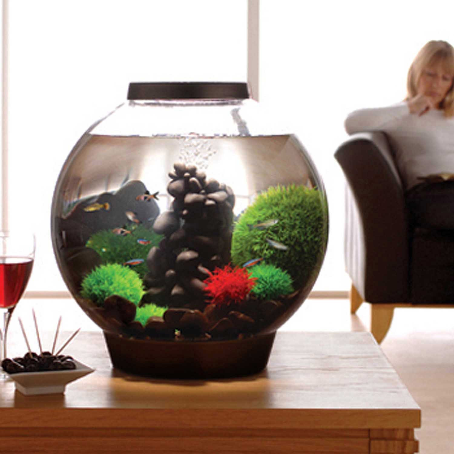 14 Fashionable Betta Vase Kit 2024 free download betta vase kit of biorb black aquarium kit with light petco for 1018035 center 1