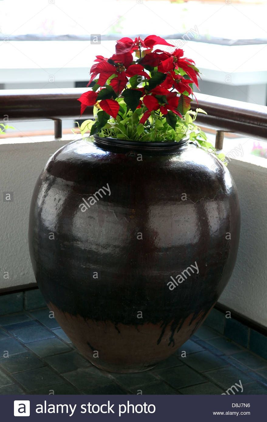 20 Popular Big Chinese Vases for Sale 2024 free download big chinese vases for sale of wide glass vase pictures living room vases wholesale new h vases big throughout wide glass vase pictures corner big flower vase vase pinterest of wide glass vas