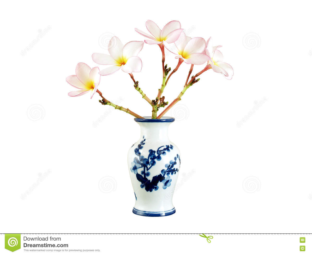 16 Trendy Blue Chinese Porcelain Vase 2024 free download blue chinese porcelain vase of beautiful bouquet light pink plumeria or frangipani in white chinese regarding beautiful bouquet light pink plumeria or frangipani in white chinese vase with b