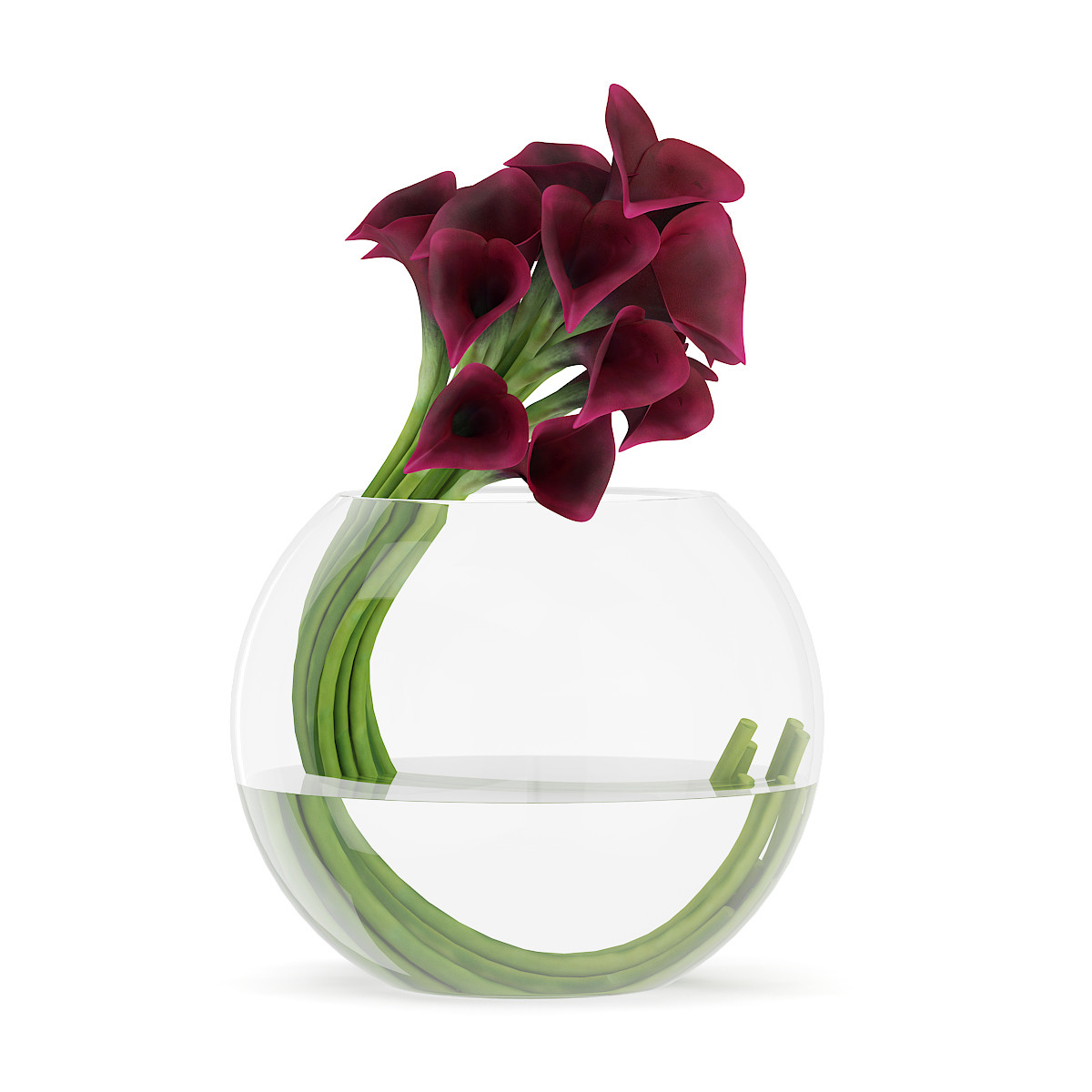 11 Amazing Calla Lily In Vase Photo 2024 free download calla lily in vase photo of calla lilies in spherical vase with 3d calla lilies in spherical vase