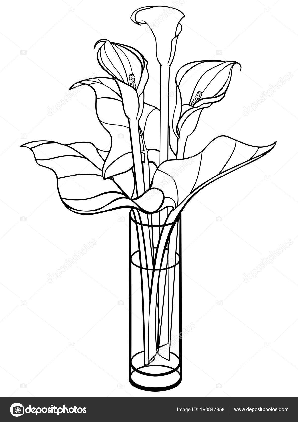 11 Amazing Calla Lily In Vase Photo 2024 free download calla lily in vase photo of callas wazonie calla lily liac29bci kwiaty wazonie szkac282a bukiet intended for callas w wazonie calla lily z liac29bci kwiaty w wazonie szkac282a bukiet rysowan