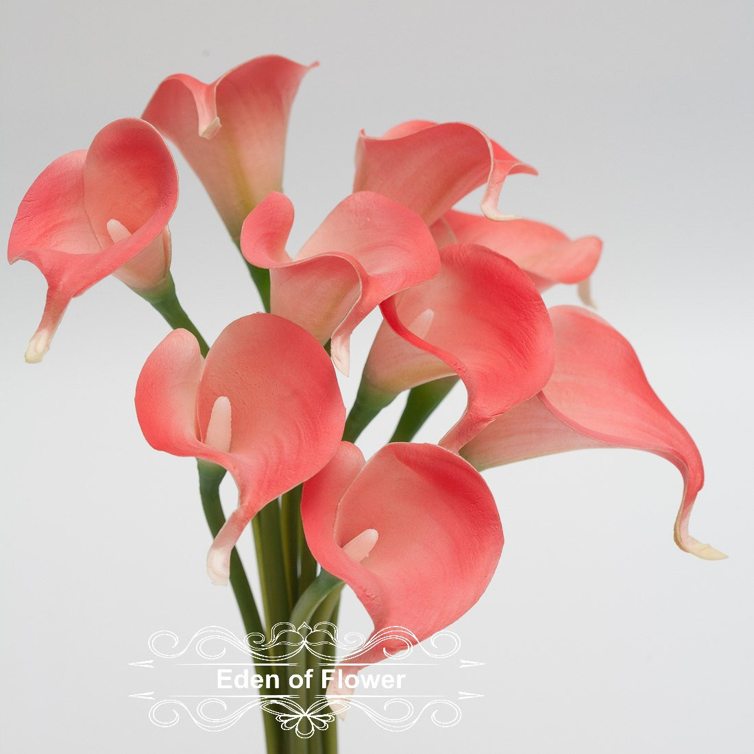 11 Amazing Calla Lily In Vase Photo 2024 free download calla lily in vase photo of real touch coral calla lily for bridal bouquets wedding etsy with dc29fc294c28ezoom