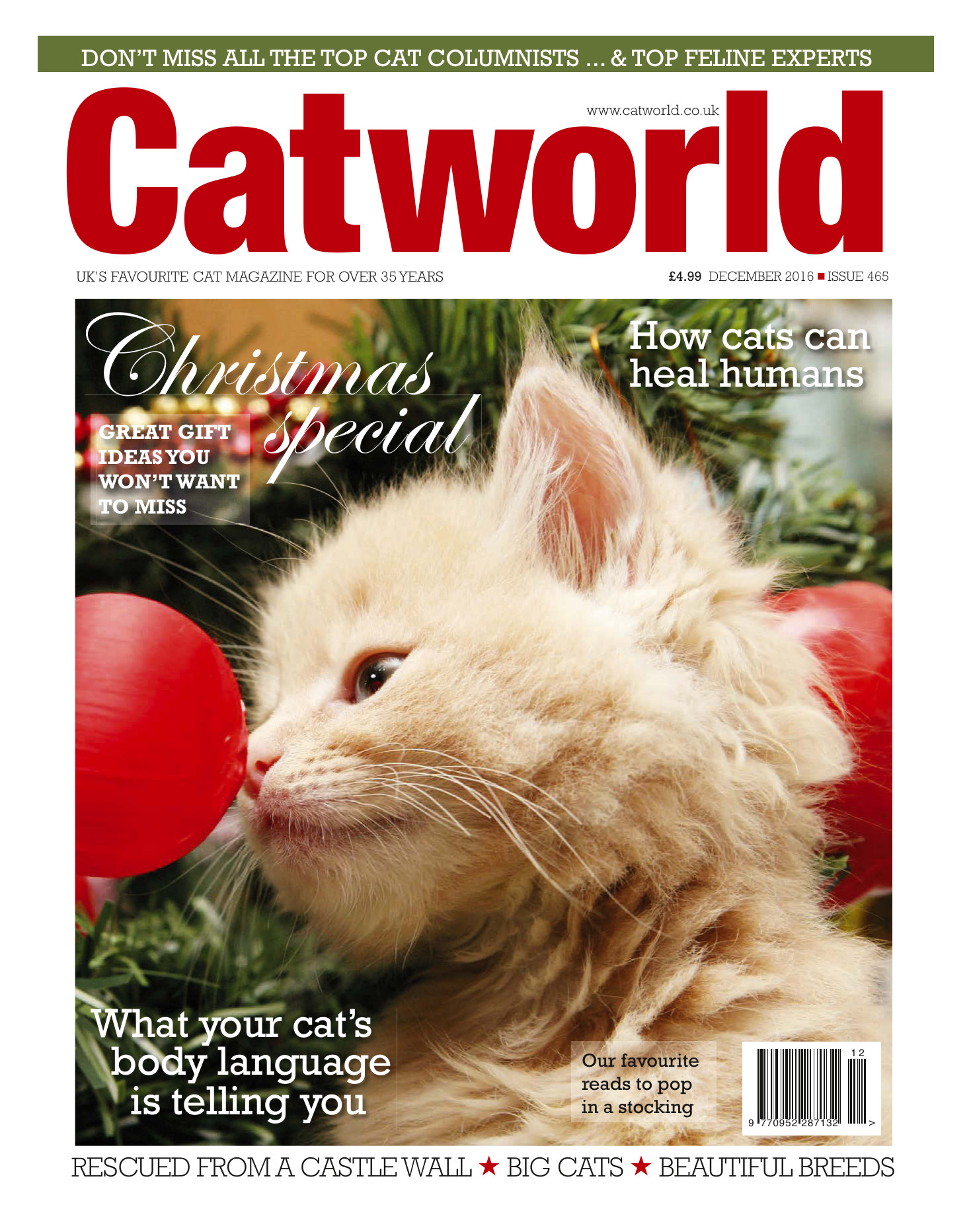 10 Trendy Caterpillar Bud Vase 2024 free download caterpillar bud vase of cat world december 2016 vk com stopthepress inside 001906161 1 44066d09b5eb1ab186a25391eda2aa17