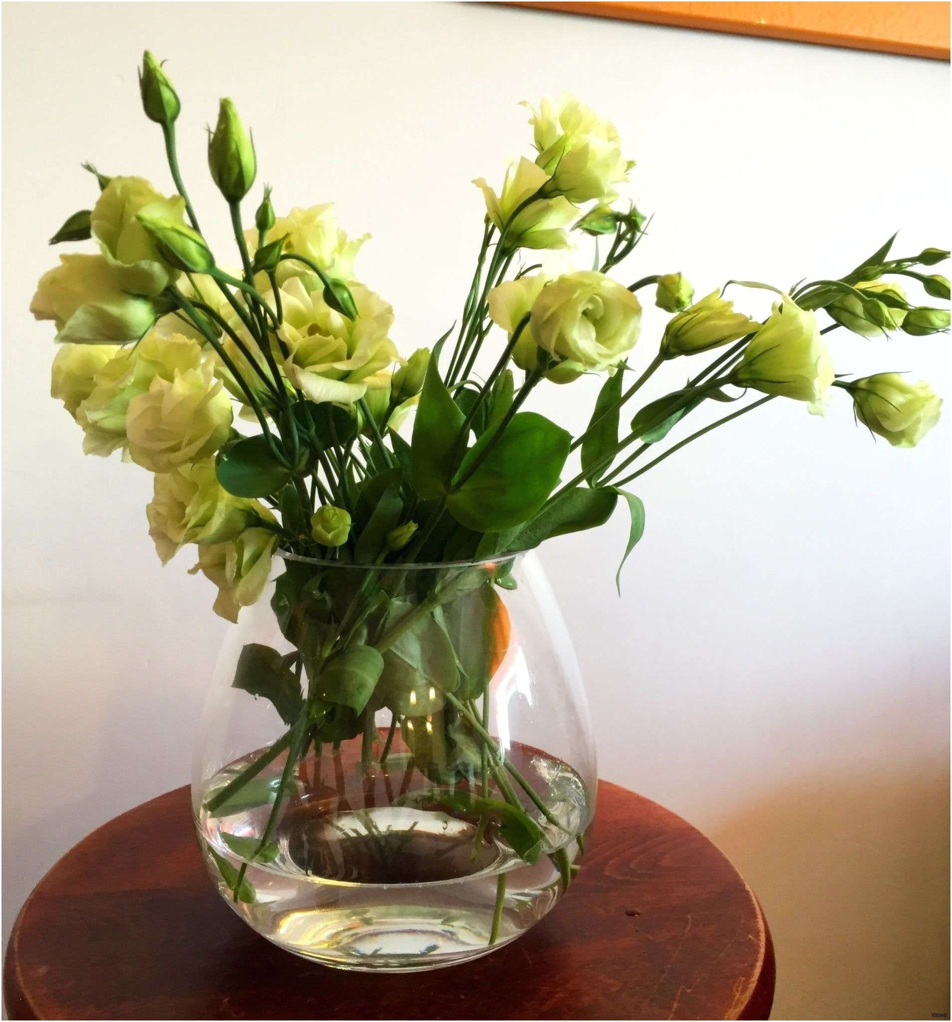 24 Great Cavalier Glass Vase 2024 free download cavalier glass vase of best images of flower vase natural zoom inside download image