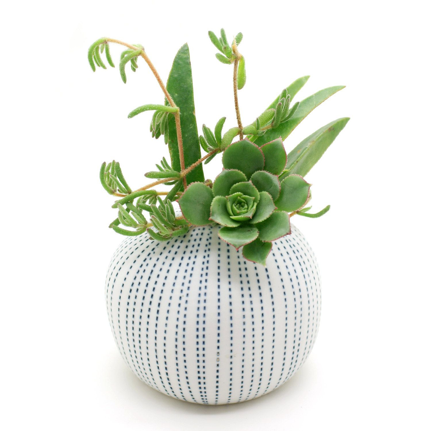 27 Perfect Ceramic Flower Vase 2024 free download ceramic flower vase of porcelain vase pots flower pots cactus small plants succulents in porcelain vase pots flower pots cactus small plants succulents