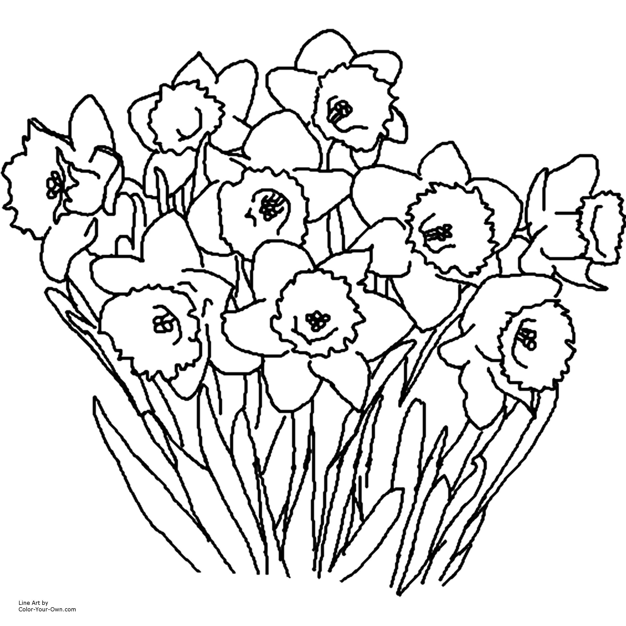 29 Best Cheap Flowers with Free Vase 2024 free download cheap flowers with free vase of free printable flower coloring pages for adults inspirational cool with regard to free printable flower coloring pages for adults best of printable adult colo