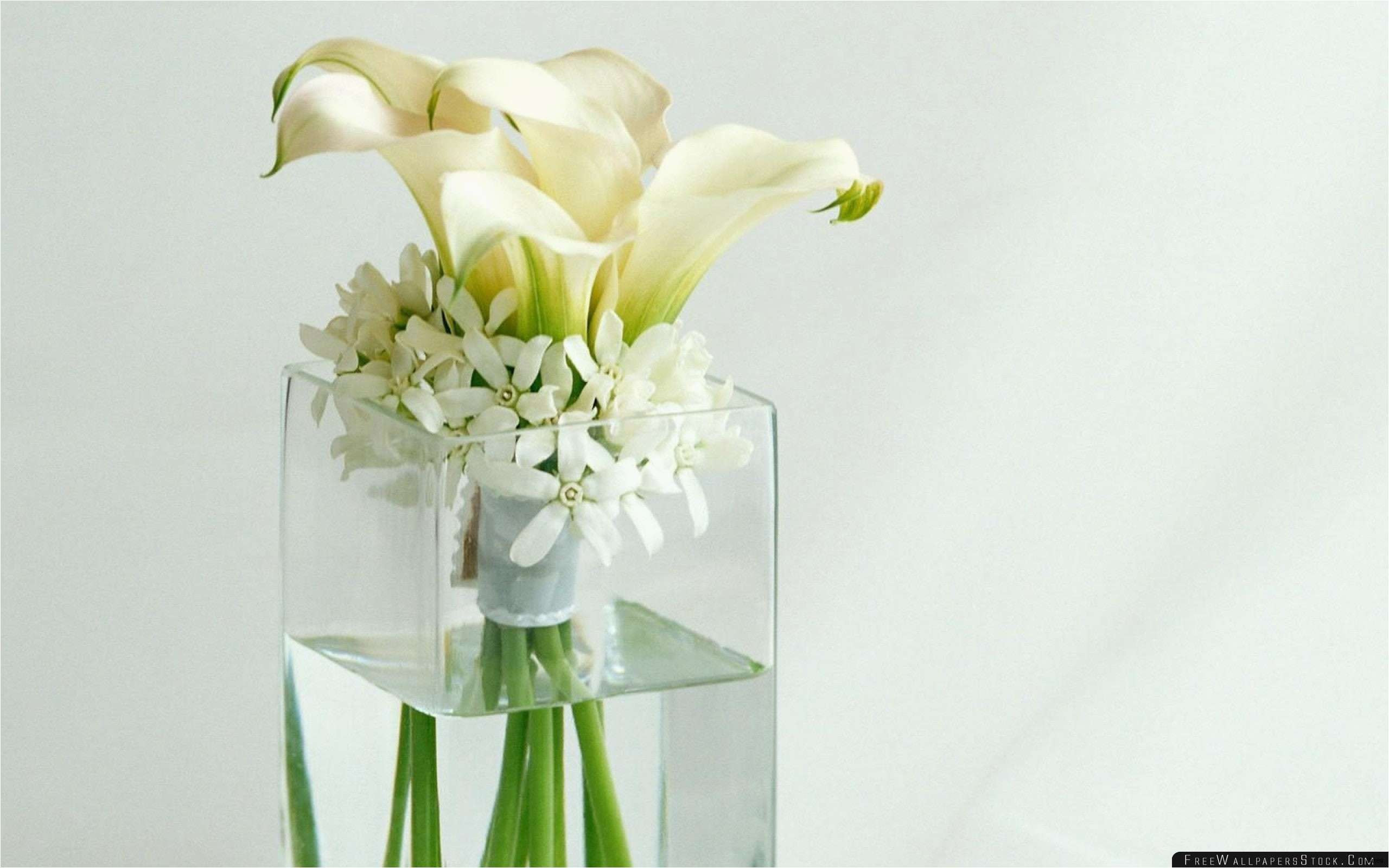 25 Lovely Cheap Glass Cylinder Vases wholesale 2024 free download cheap glass cylinder vases wholesale of 30 bulk photo frames photo best certificate examples within best trumpet vases bulk fresh tall vase centerpiece ideas vases flowers in water 0d artifi