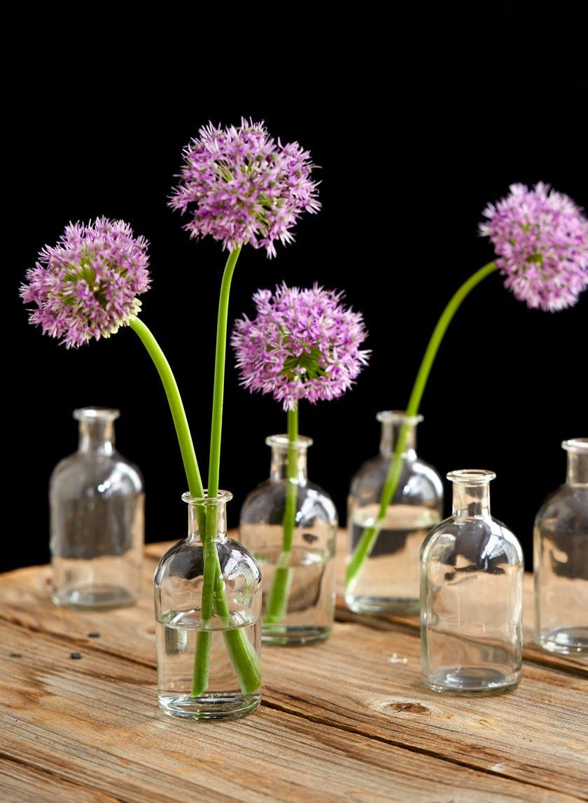 13 Stylish Cheap Glass Vases for Centerpieces 2024 free download cheap glass vases for centerpieces of clear medicine bottle bud vase set of 6 collectibles pinterest regarding medicine bottle bud vase vintage look glass vases wedding event party supplies 