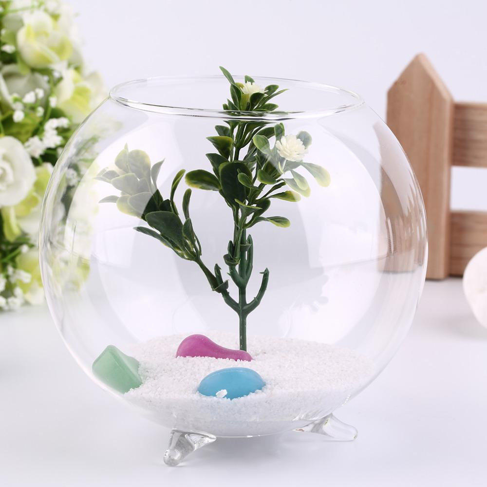 27 Elegant Cheap Glass Vases wholesale 2024 free download cheap glass vases wholesale of tripod support round shape glass plant flower landscape vase intended for tripod support round shape glass plant flower landscape vase container transparent hy