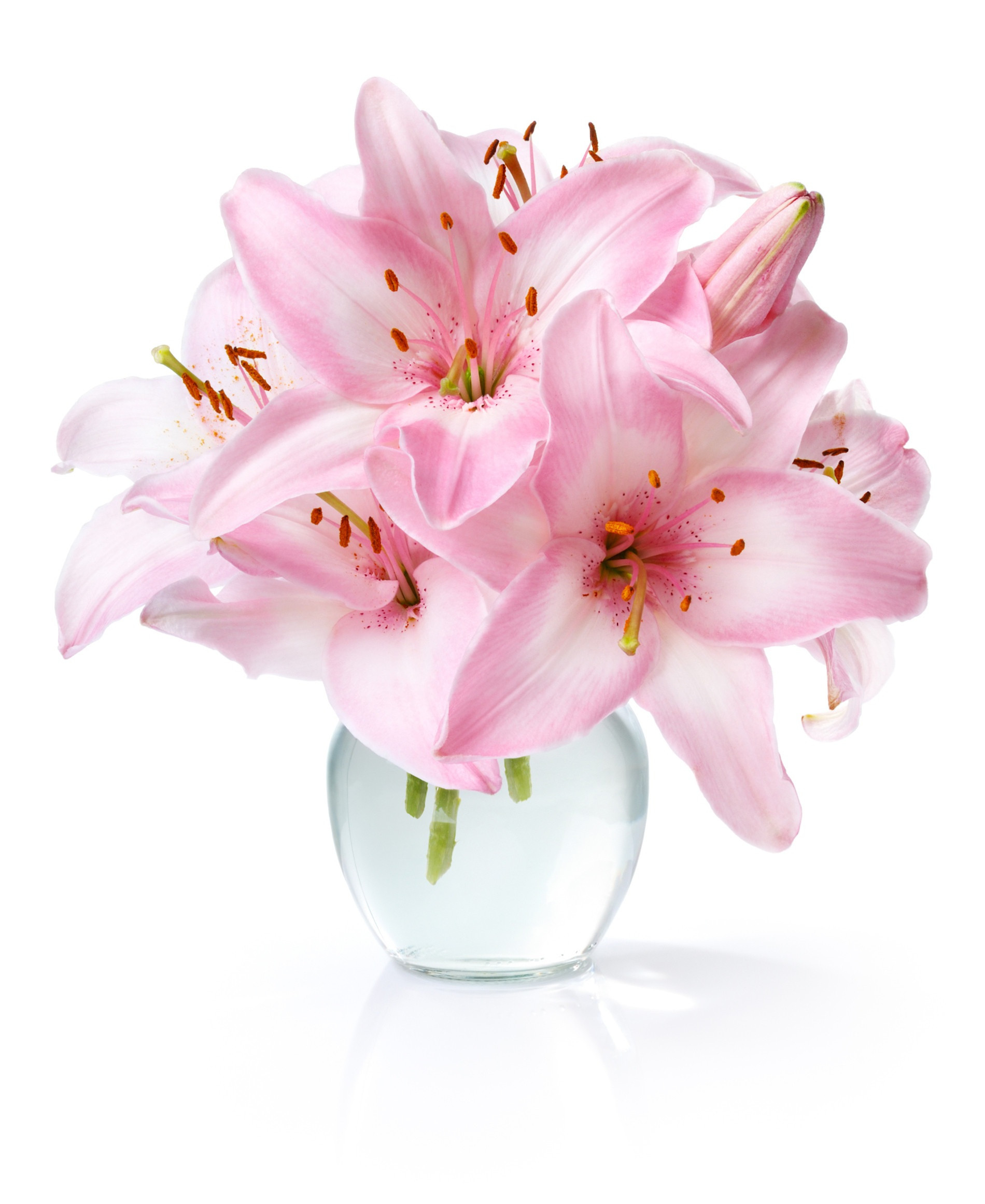 29 Spectacular Cheap Pink Vases 2024 free download cheap pink vases of flower image pink new bf142 11km 1200x1200h vases pink flowers in within download image