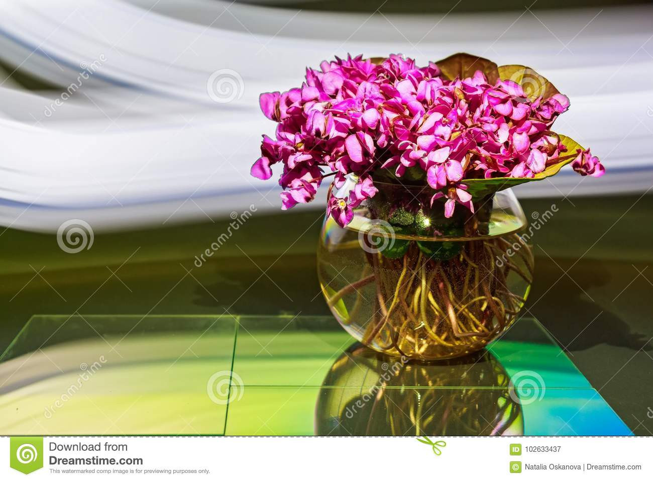 11 Trendy Cheap Rose Bowl Vases 2024 free download cheap rose bowl vases of bouquet of violet flowers or viola odorata in bowl stock image inside bouquet of violet flowers or viola odorata in bowl