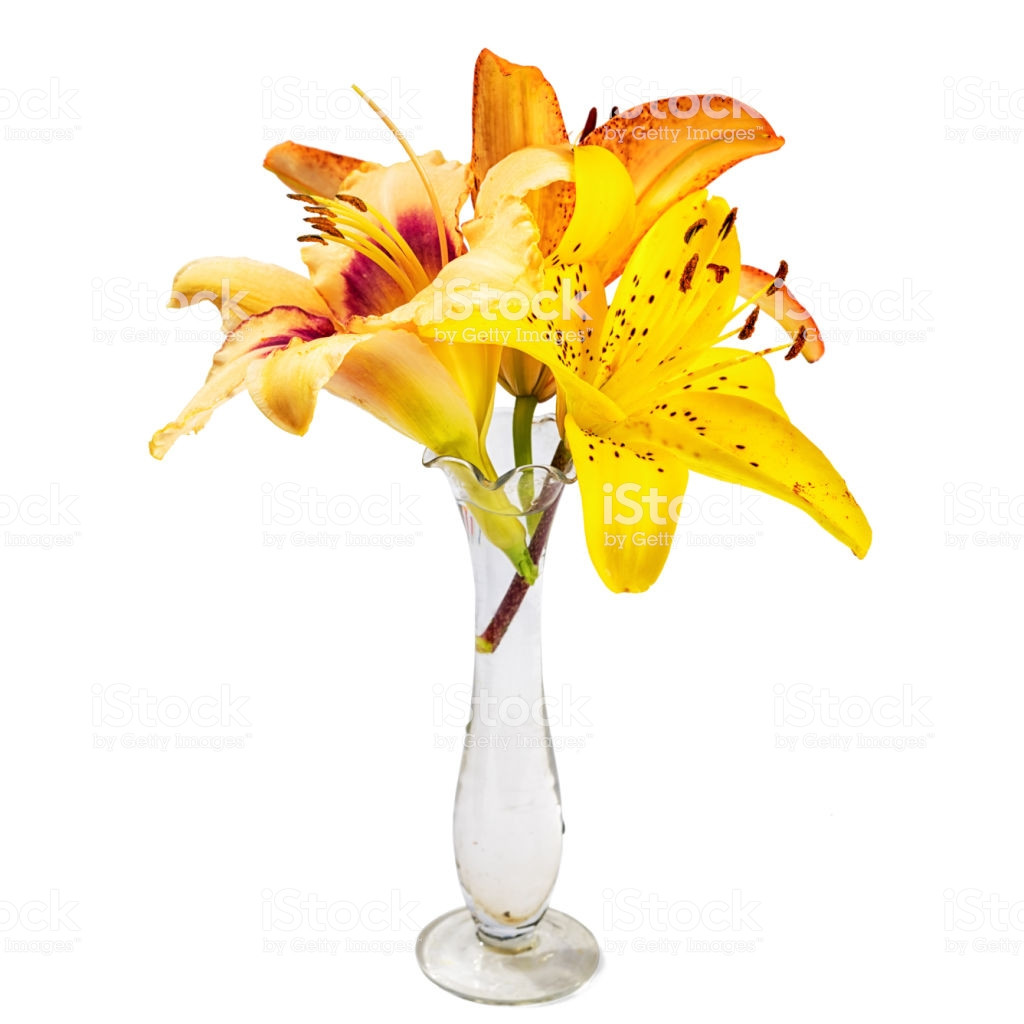 16 Ideal Cheap Small Glass Vases 2024 free download cheap small glass vases of bouquet with lily flowers in a small transparent glass vase isolated with bouquet with lily flowers in a small transparent glass vase isolated on white background 