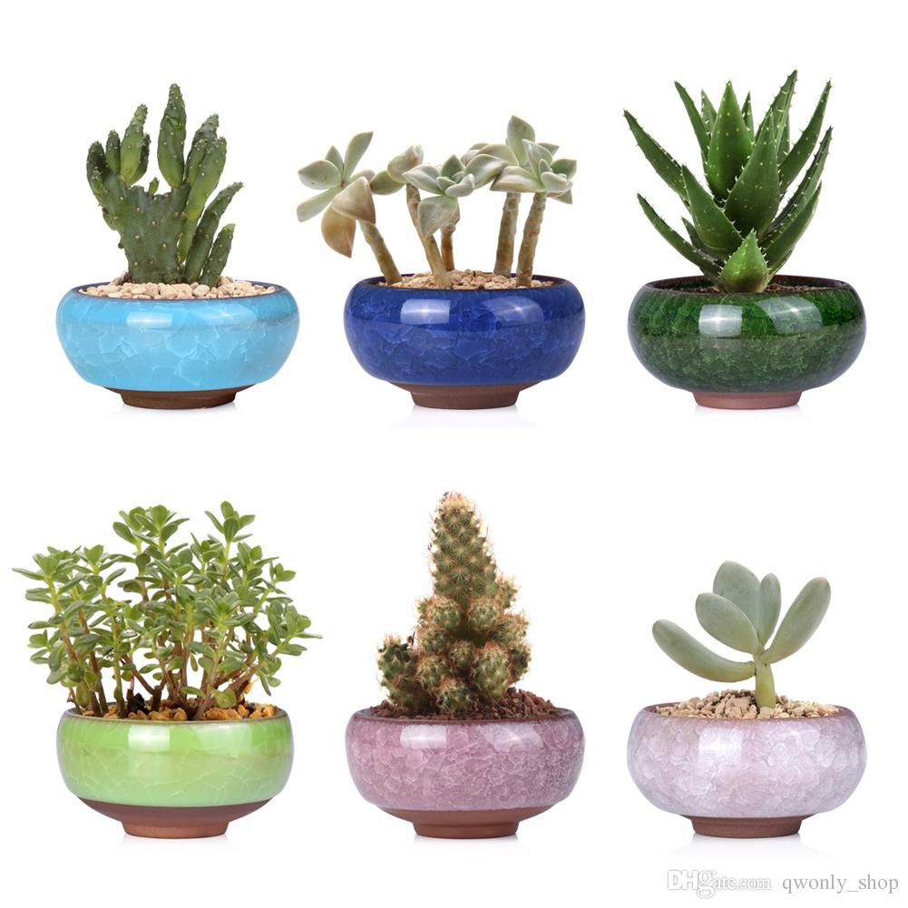 26 Unique Chinese Plant Vase 2024 free download chinese plant vase of best garden planters flower pots planters microlandschaft mini with regard to best garden planters flower pots planters microlandschaft mini succulent plants flowers va